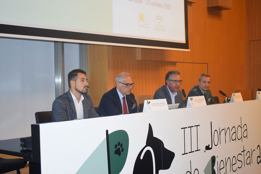 III Jornada de Bienestar Animal organizada por el Consejo Andaluz y la Junta: el sacrificio cero en animales de compañía centra el tema de debate