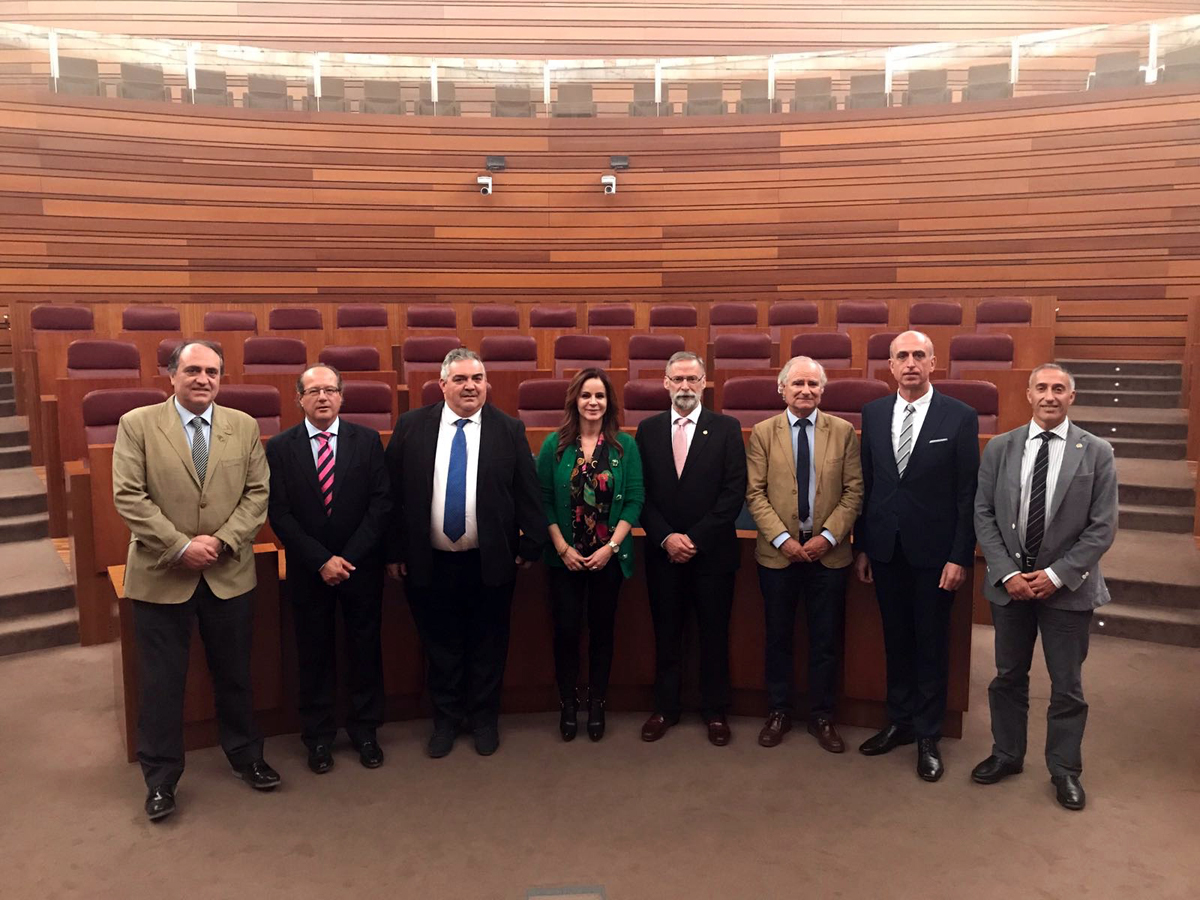 El Consejo de Veterinarios de Castilla y León se reúne con la presidenta de las Cortes regionales