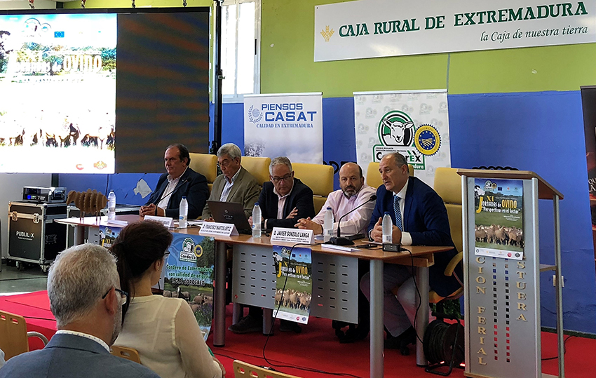 Las XI Jornadas de Ovino celebradas en Castuera analizaron las perspectivas del sector