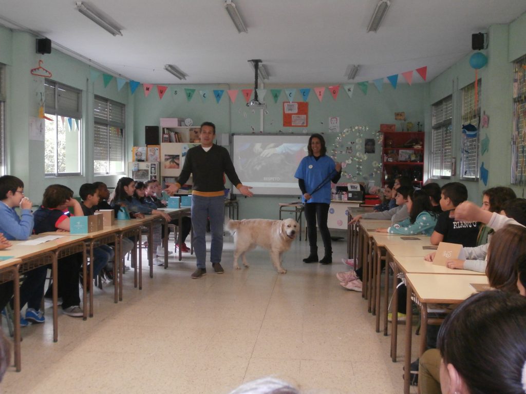 El Colegio asturiano reactiva la campaña para escolares sobre bienestar animal