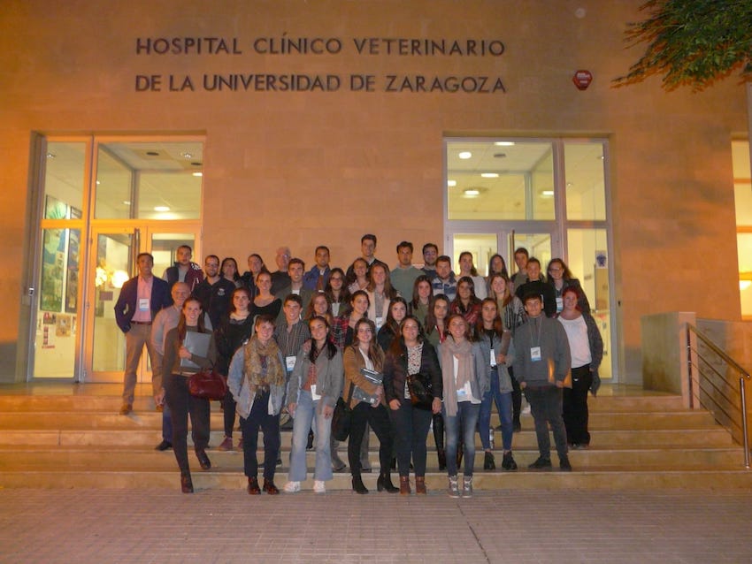 I Congreso Junior de la Asociación de Veterinarios Especialistas en Équidos de España