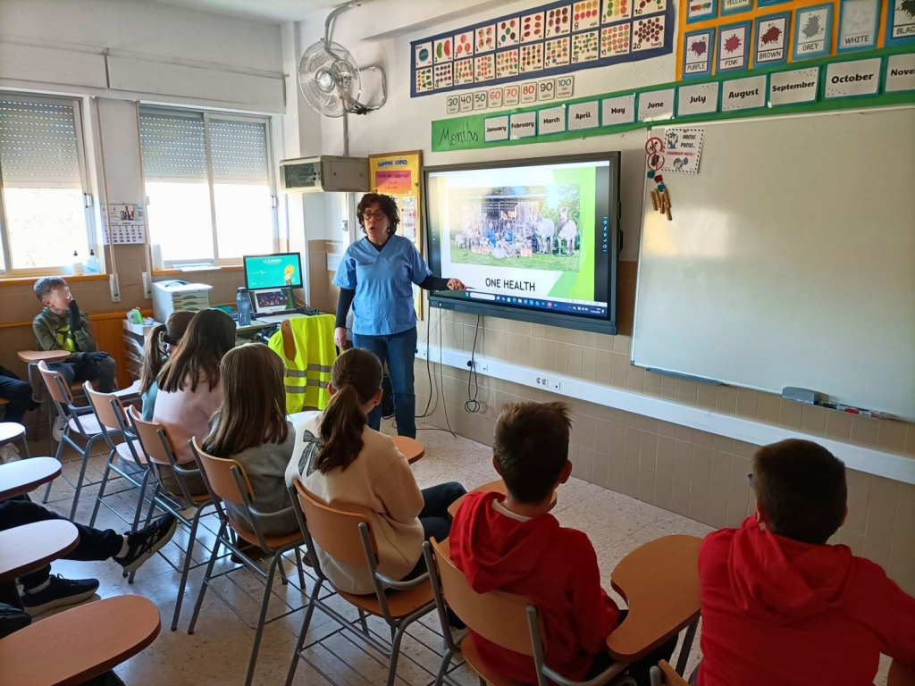 Casi 14.000 niños de Alicante se han formado en tenencia responsable desde 2019 gracias a los talleres promovidos por el Colegio de Veterinarios