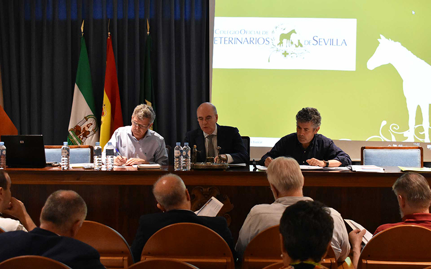 La Asamblea General de REIAC se celebró en la sede del Colegio de Sevilla
