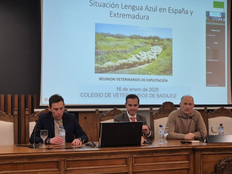 Veterinarios de Badajoz y responsables de la Consejería de Agricultura y Ganadería abordan medidas de control de la lengua azul