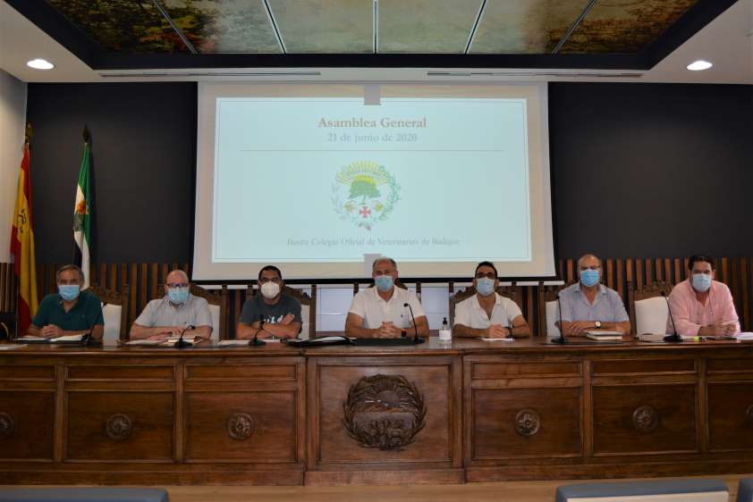 Celebrada la asamblea general del Colegio de Badajoz para aprobar los presupuestos de 2020 y la liquidación de 2019