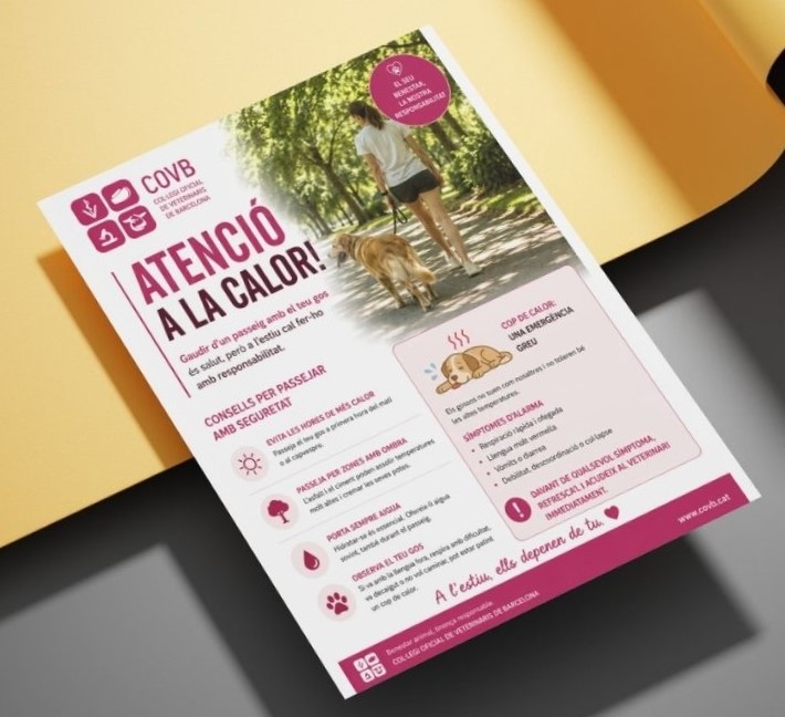 Los veterinarios de Barcelona inciden en unos consejos b&aacute;sicos para prevenir los golpes de calor en perros