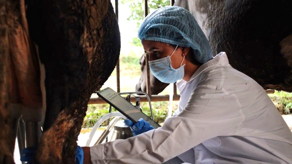 El video de la OCV con motivo del D&iacute;a Mundial de la Veterinaria resalta que la profesi&oacute;n &ldquo;protege vidas&rdquo;