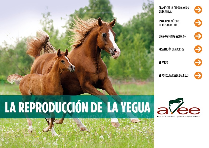 AVEE publica un tríptico con información práctica sobre la reproducción de la yegua