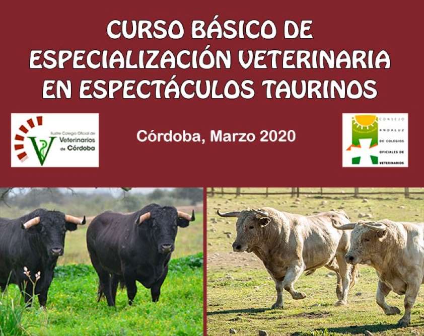 El Colegio de Veterinarios de Córdoba aplaza el Curso Básico de Especialización en Espectáculos Taurinos por la crisis del COVID19