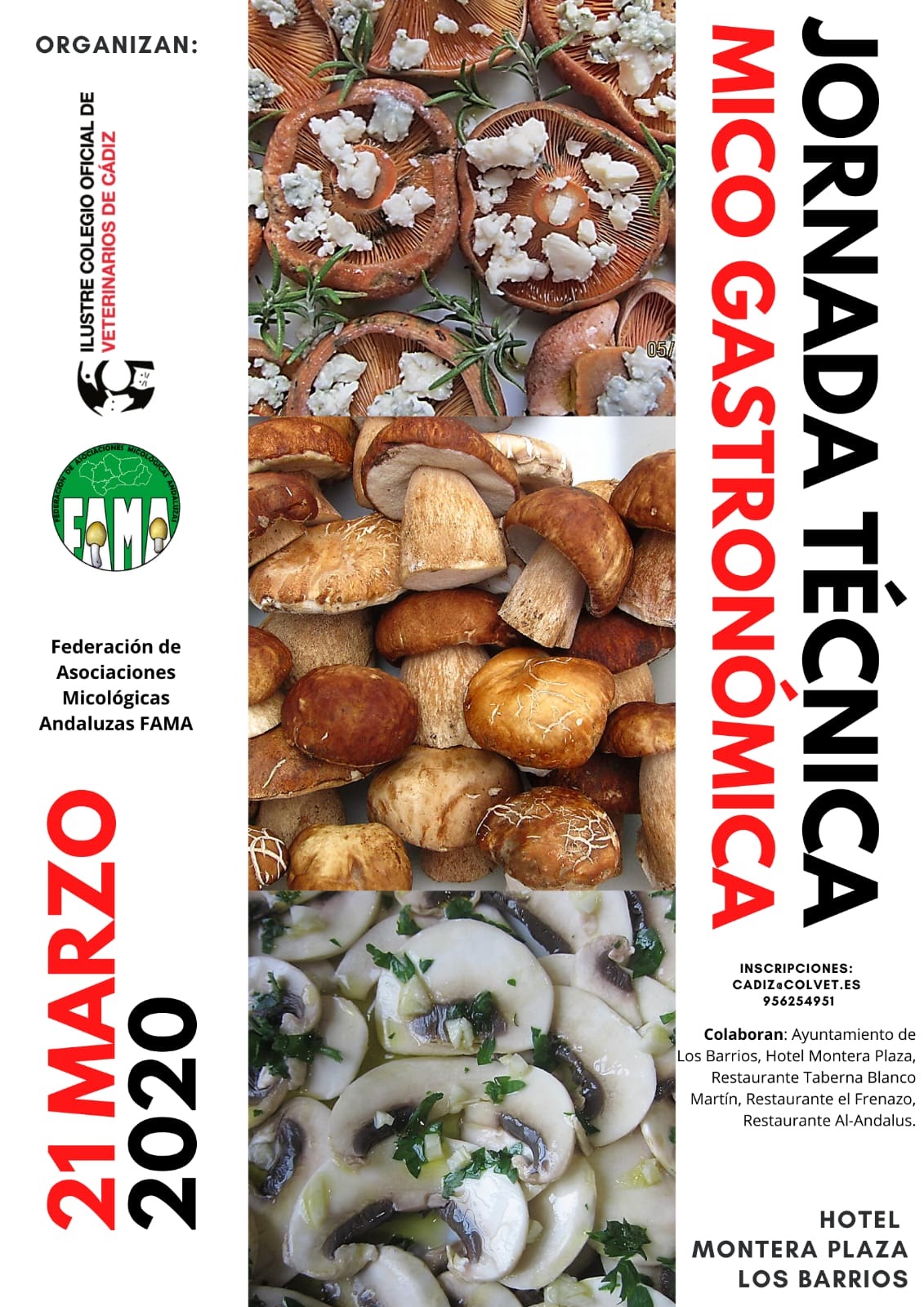 El Colegio de Cádiz promueve la I Jornada Técnica Mico Gastronómica, prevista para el día 21 en Los Barrios