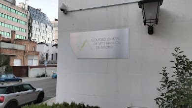 Colvema edita la &ldquo;Gu&iacute;a para la detecci&oacute;n del maltrato animal&rdquo;, que presentar&aacute; el pr&oacute;ximo martes