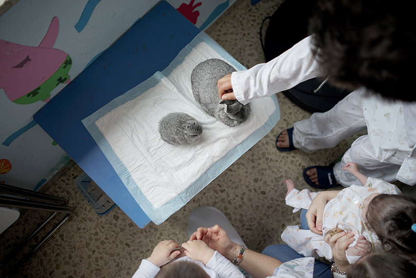 El ICOV participará en el Día del Niño Hospitalizado que se celebra en el Hospital Puerta del Mar