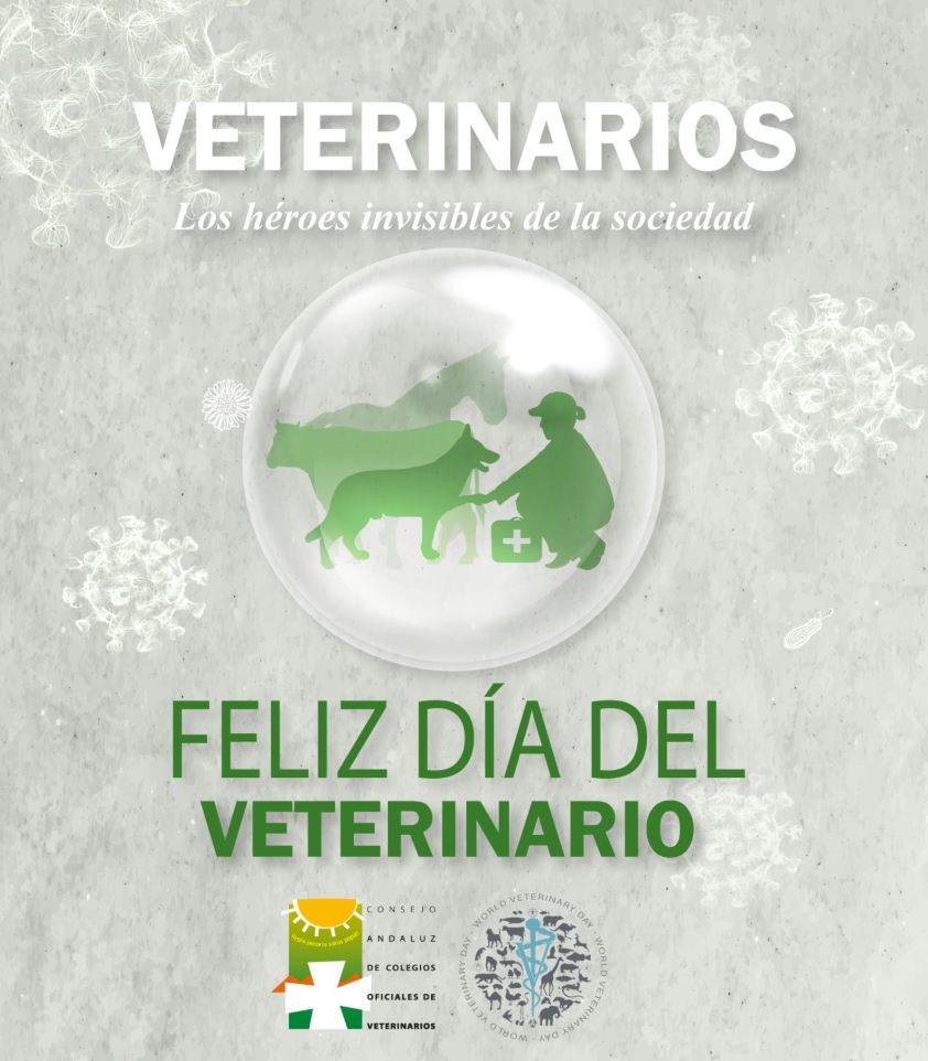 En su Día Mundial, el Consejo Andaluz reivindica a los veterinarios como profesionales sanitarios