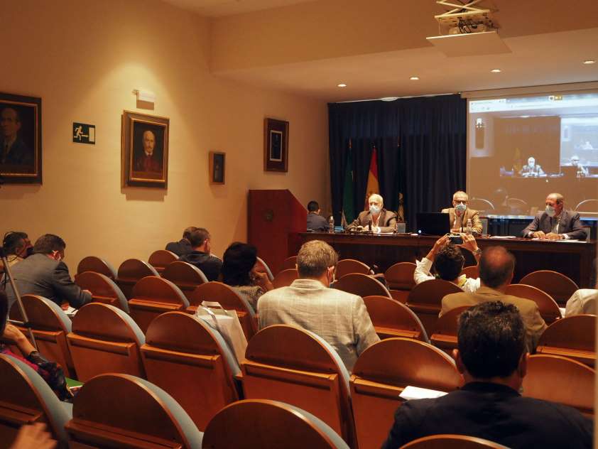El Consejo Andaluz aprueba su presupuesto y perfila nuevas estrategias de trabajo