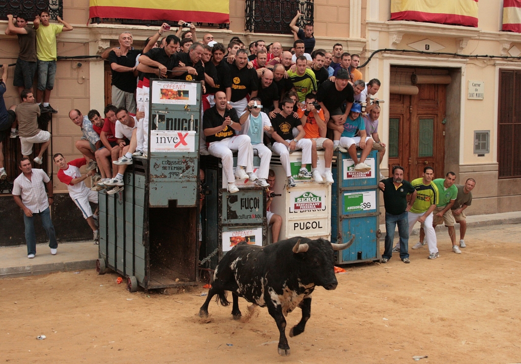 El Consejo Valenciano apoya la acción “profesional” de los veterinarios oficiales y habilitados para en los "bous al carrer"