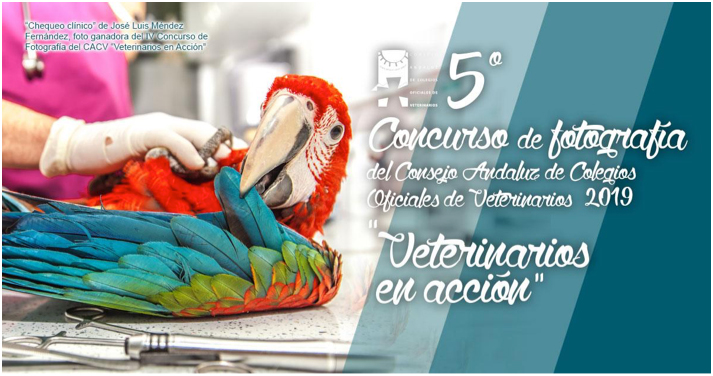 Convocado el V Concurso de Fotografía "Veterinarios en Acción" del Consejo Andaluz 