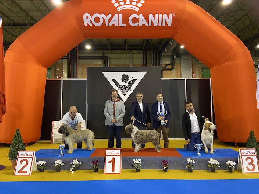 El Colegio de Zaragoza dio soporte veterinario a la Exposición Nacional e Internacional Canina