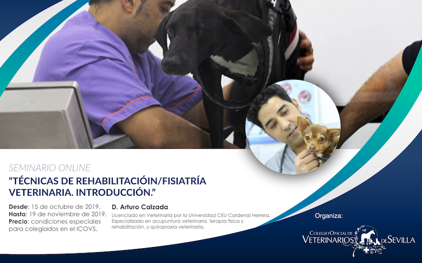 Curso Online “Técnicas rehabilitación/fisiatría veterinaria. Introducción”