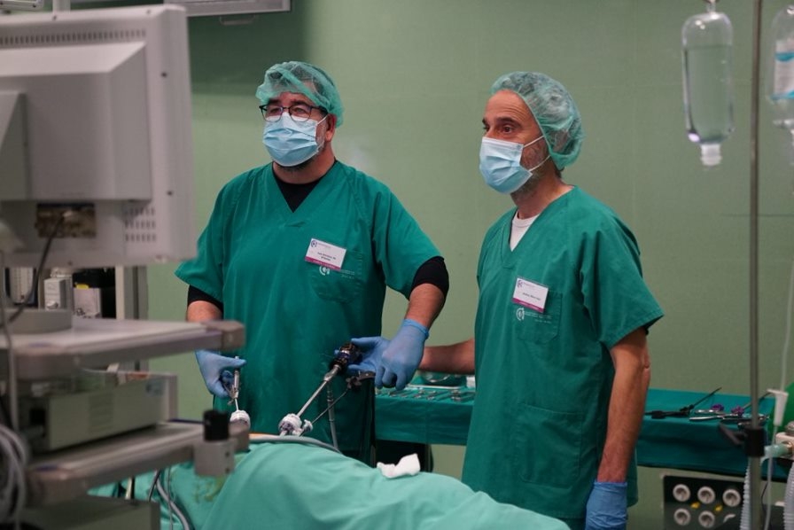 El Centro “Jesús Usón”, escenario de una estancia formativa en cirugía laparoscópica veterinaria de pequeños animales