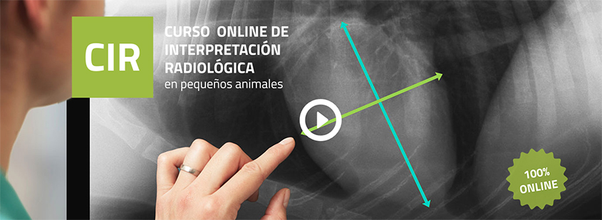 Abierto el plazo de inscripción para la III edición del 'Curso online de Interpretación Radiológica en Pequeños Animales' del Colegio de Madrid