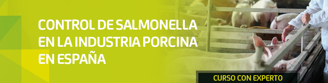 Curso online sobre “Control de salmonella en la industria porcina en España”