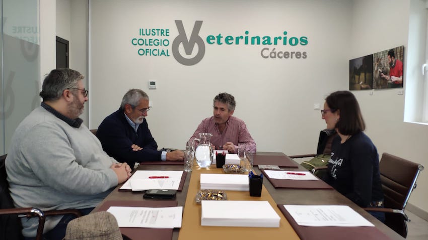 El Colegio de Cáceres se reúne con el concejal de Urbanismo y Patrimonio para tratar el tema de las palomas que ponen en peligro la muralla