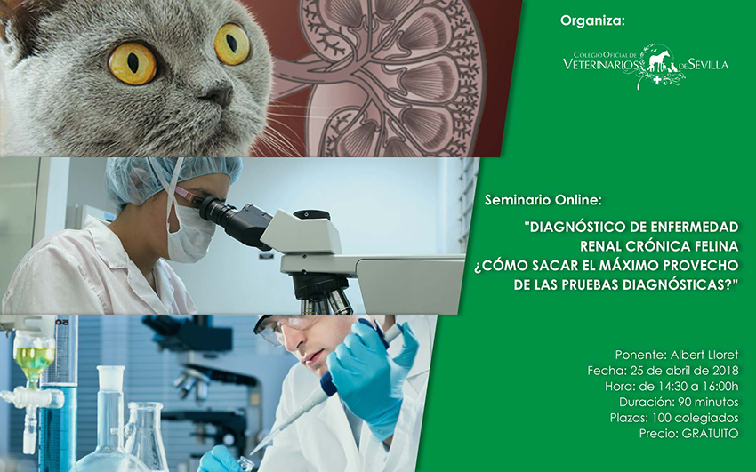 LXI Seminario online “Diagnóstico de enfermedad renal crónica felina ¿Cómo sacar el máximo provecho de las pruebas diagnósticas?”