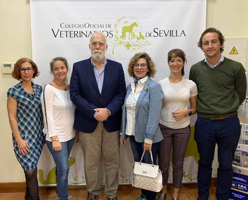 El Colegio de Sevilla desarrolla un  protocolo propio para la gestión de las colonias felinas