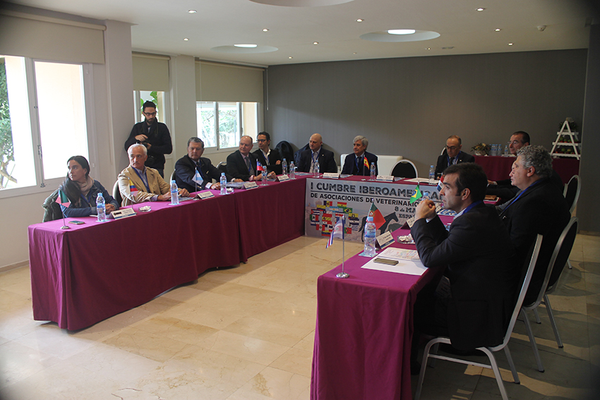 El Colegio de Alicante fue anfitrión de la Cumbre Iberoamericana de Asociaciones de Veterinarios Especialistas en Équidos 