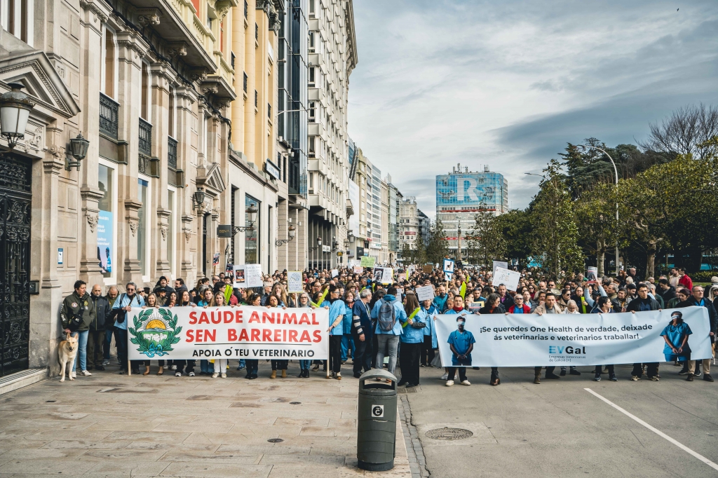 El Colegio de Veterinarios de Lugo reclama equiparar la normativa española de distribución de medicamentos a la europea 