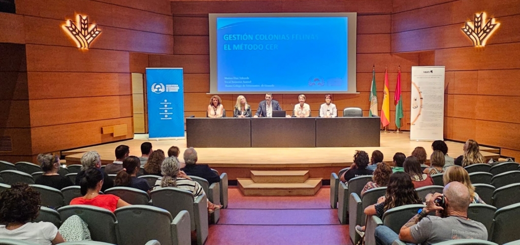 El Colegio de Granada resuelve dudas de los ayuntamientos sobre gestión de colonias felinas en una jornada específica