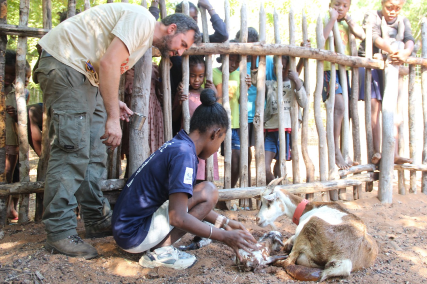 La OCV colabora con el proyecto Ronono Osy para poner en marcha una explotación caprina de leche en Madagascar