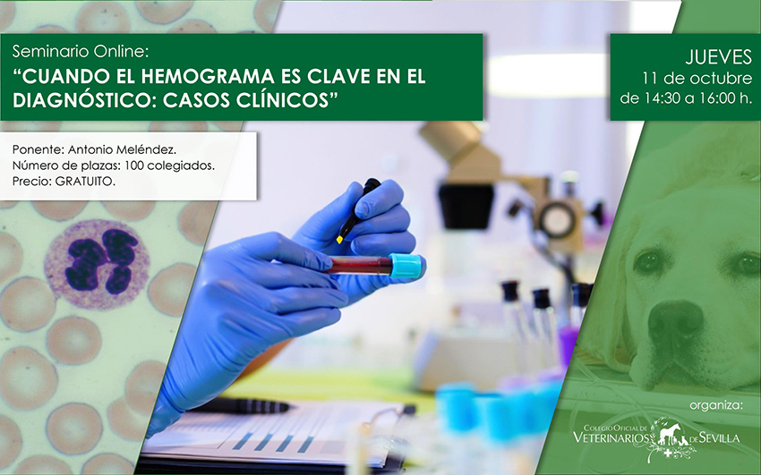 LXVI Seminario Online “Cuando el hemograma es clave en el diagnóstico: casos clínicos”