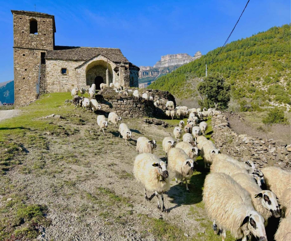 El Colegio de Veterinarios de Huesca da a conocer el fallo de su concurso fotogr&aacute;fico