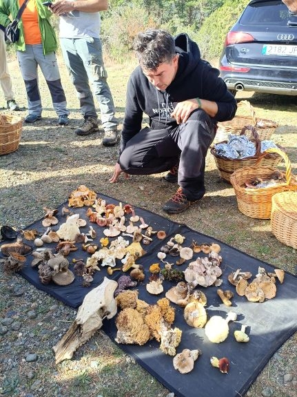 Veterinarios de Huesca disfrutaron de una nueva jornada micológica por la Sierra de Guara