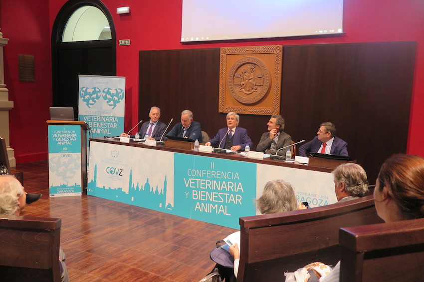Más de 250 veterinarios españoles debatieron en Zaragoza sobre su papel en la defensa del bienestar animal y la lucha contra el maltrato mediante el uso de protocolos