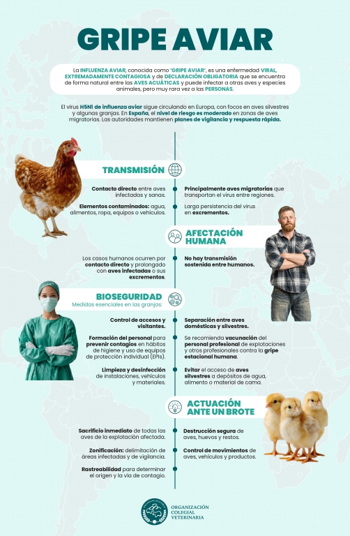 La OCV llama a la calma e insiste en que el contagio de influenza aviar a humanos es muy excepcional