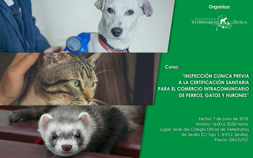 Curso “Inspección Clínica previa a la Certificación Sanitaria para el Comercio Intracomunitario de Perros, Gatos y Hurones”