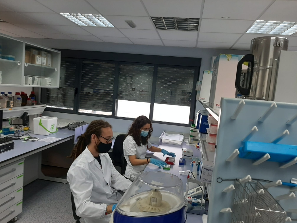 El Consejo de Veterinarios del Pa&iacute;s Vasco logra una sentencia transcendental que reconoce su capacitaci&oacute;n profesional en medio ambiente y laboratorio 