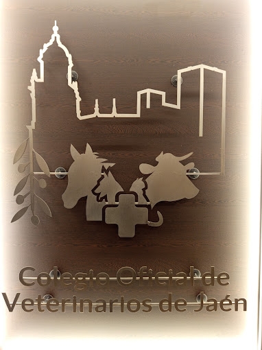 El Colegio de Ja&eacute;n inicia su proceso electoral que culminar&aacute; en los comicios previstos para el d&iacute;a 16 de marzo