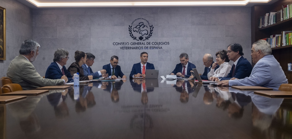 La junta ejecutiva acuerda la asignación de áreas de trabajo y da un paso más para la presentación de la ILP sobre el medicamento veterinario