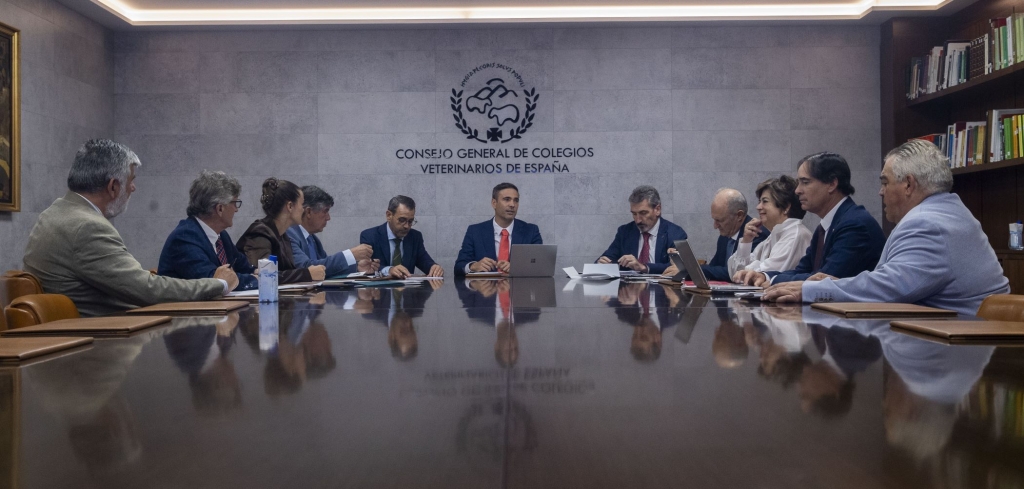 La junta ejecutiva de la OCV fija el rumbo de la  profesi&oacute;n tras sus primeros 100 d&iacute;as de gesti&oacute;n