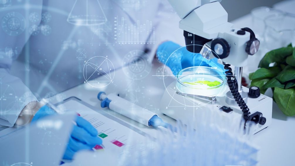  El TSJ del País Vasco respalda la capacitación de los estudios de veterinaria para el acceso a las escalas de medio ambiente y de laboratorio 