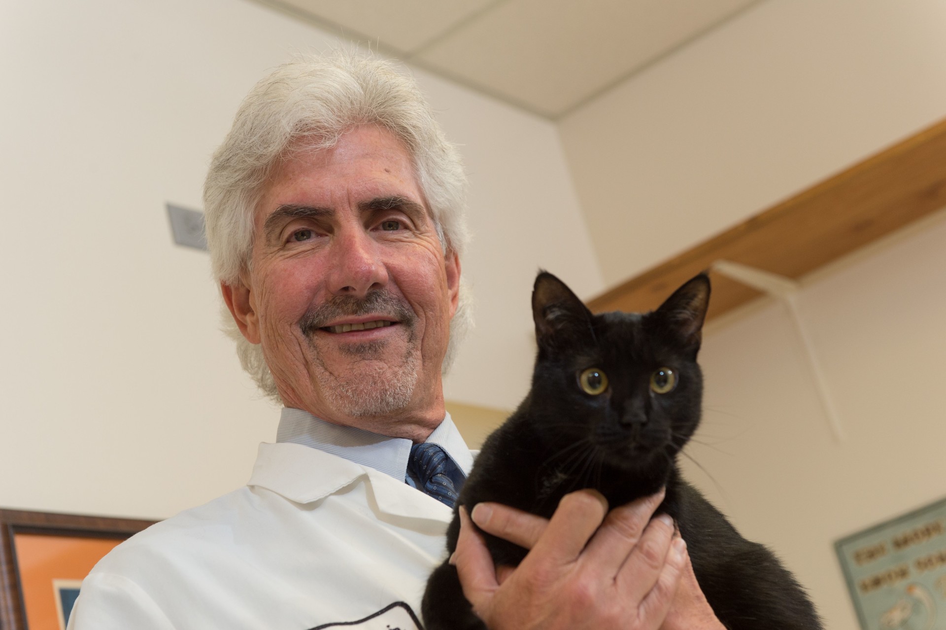 Michael Lappin, un gran experto mundial en medicina interna de mascotas