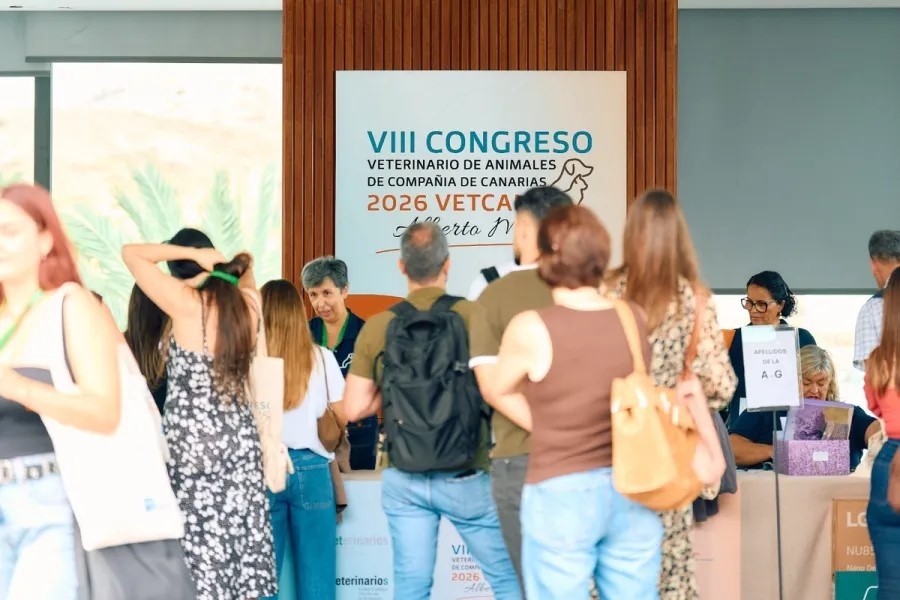 El VIII Congreso VETCAN ofreci&oacute; tres d&iacute;as de formaci&oacute;n en diagn&oacute;stico, cirug&iacute;a y nuevas tecnolog&iacute;as en Las Palmas