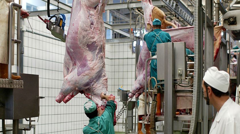La carne de reses de lidia posee las máximas garantías sanitarias gracias a la inspección de los veterinarios