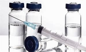 Los veterinarios de Alicante reclaman cambios efectivos en la normativa del medicamento 