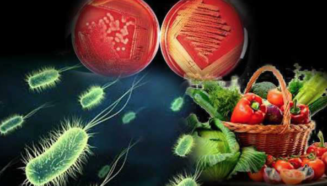 Curso de Seguridad Alimentaria “Criterios Microbiológicos aplicables a los productos alimenticios”