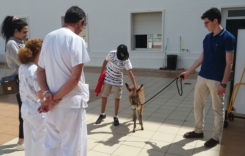 El burrito Milindri y el conejo Ramos visitaron a los pacientes infantiles del Hospital Puerta del Mar