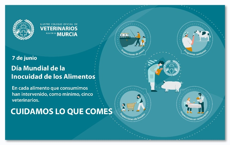 El Colegio de Murcia subraya el valor de la presencia de veterinarios a lo largo de toda la cadena alimentaria